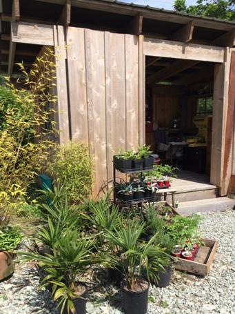 Tomato starts, herbs, eggs, bread ....come visit us on your way to #seastar vineyard