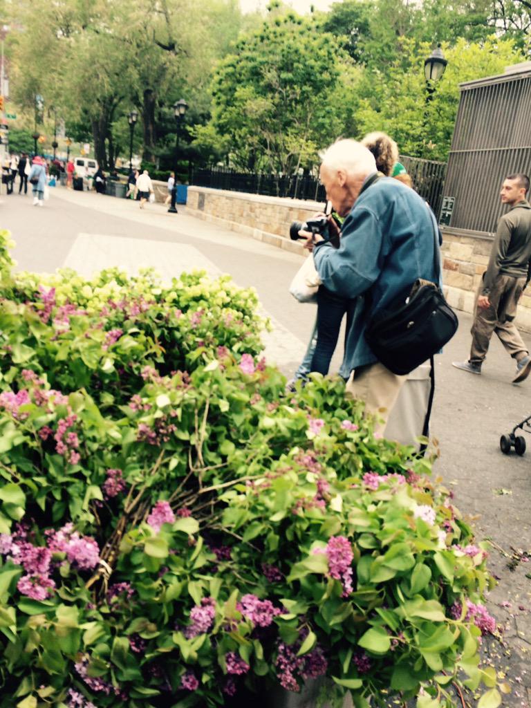 Tina Flores tweet media