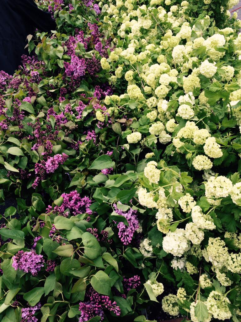 Tina Flores tweet media