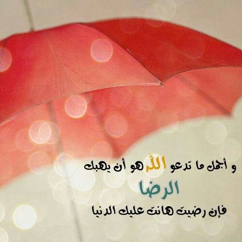 PicIslamic tweet picture