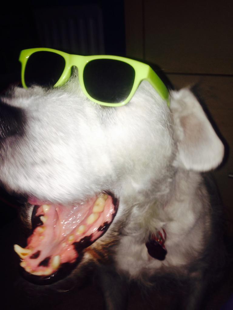 TheHornHome20's tweet photo. When patch thinks it's sunny outside #PartyGoggles http://t.co/n00mft5ZBG