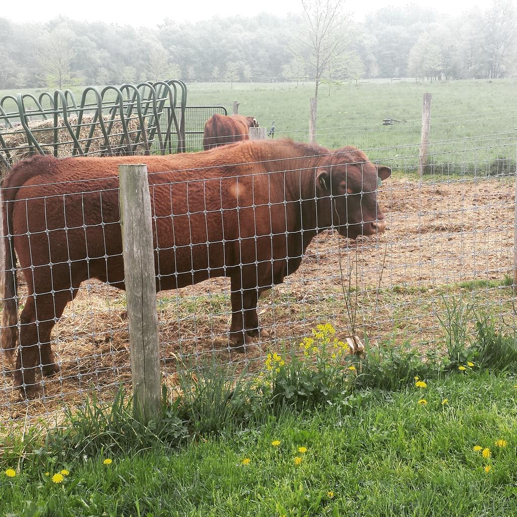 JeffInHouseChef's tweet photo. Very cool 2 meet some staff @wyebrookfarm !Thx for showing me around! Looking forward 2 using ur meat for my clients! http://t.co/Xmb2iZv7Jk