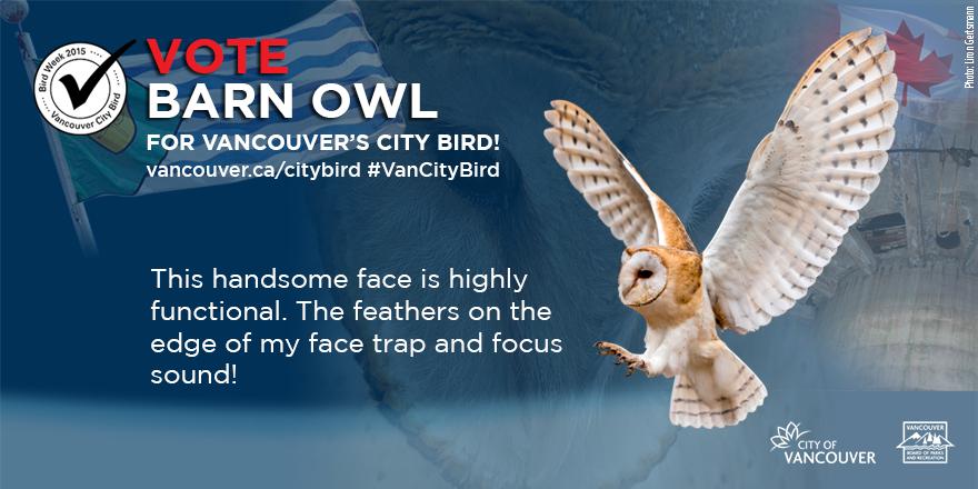 heyitsbarnowl's tweet photo. #VoteBarnOwl for #VanCityBird to see my mug on next year's #Vancouver parking decals. http://t.co/xYhhLBoJNR http://t.co/muRZf5jxiW