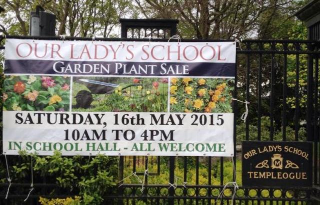 Please support our Plant Sale at Our Lady's #terenure on Sat 16 May. At  #Templeogue Road from 10am #tssabú #nure