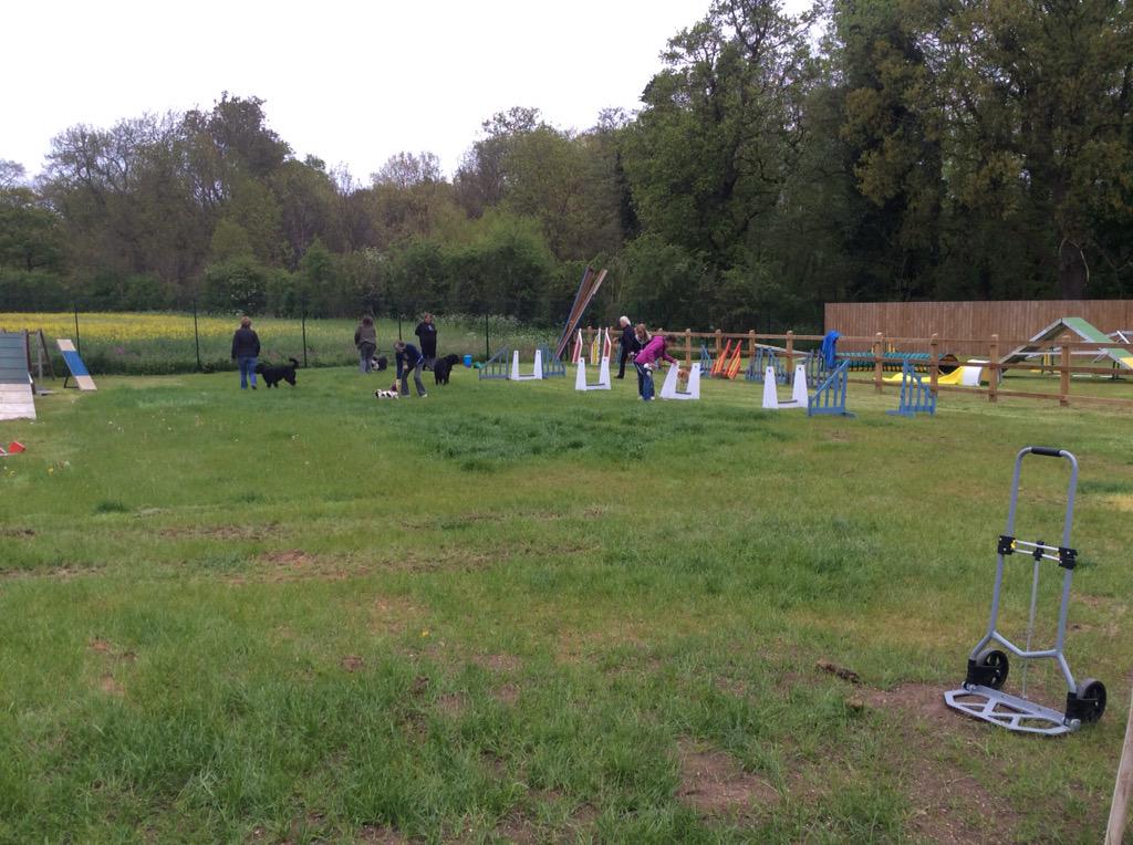 HappyDogEnfield's tweet photo. All happening this morning pet obedience, scent classes, Flyball and a 121 hope you all had fun http://t.co/XkCLTPPAB6