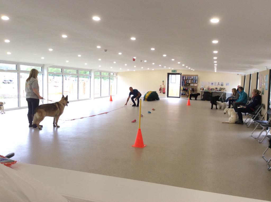 HappyDogEnfield's tweet photo. All happening this morning pet obedience, scent classes, Flyball and a 121 hope you all had fun http://t.co/XkCLTPPAB6