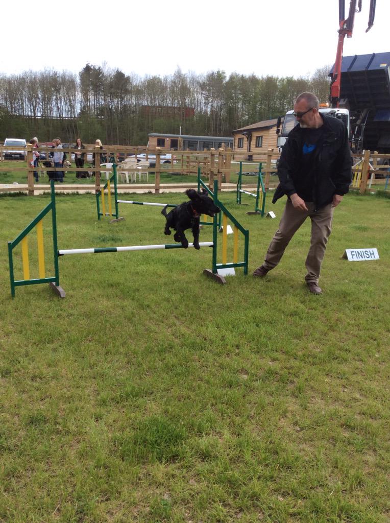 HappyDogEnfield's tweet photo. Agility training weekend with Simon Chandler 16th and 17th May at Elmtree Training Centre contact 07983382449 http://t.co/dE7CMgNrrv