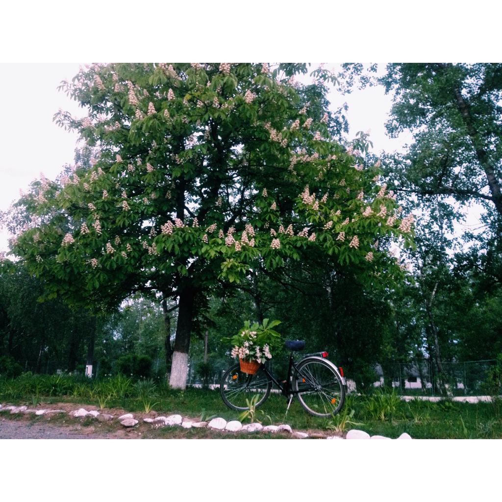 o_bonka's tweet photo. Today I enjoyed time with spring and Lashel🌿🌸💕 http://t.co/1OEhNhZiIG