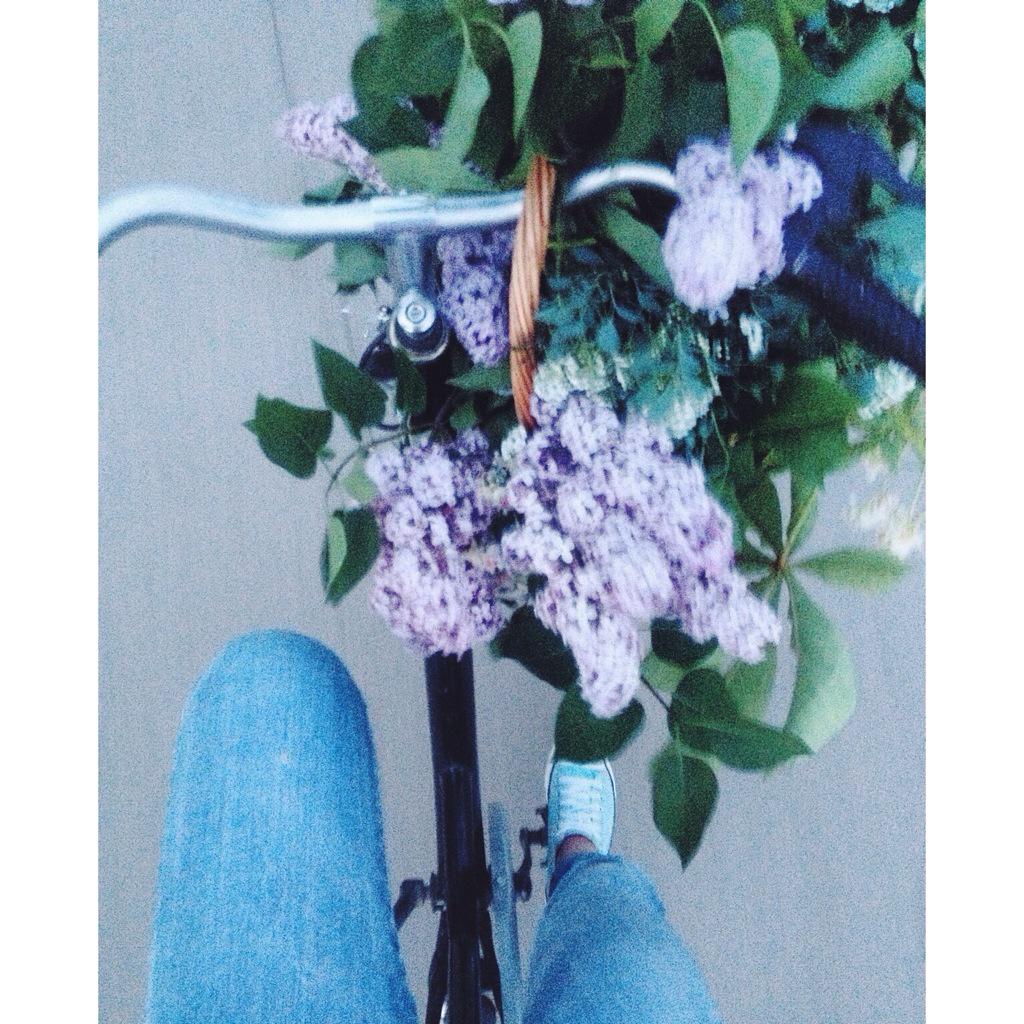 o_bonka's tweet photo. Today I enjoyed time with spring and Lashel🌿🌸💕 http://t.co/1OEhNhZiIG