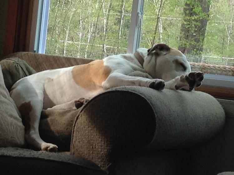 edthemax's tweet image. So cute!!