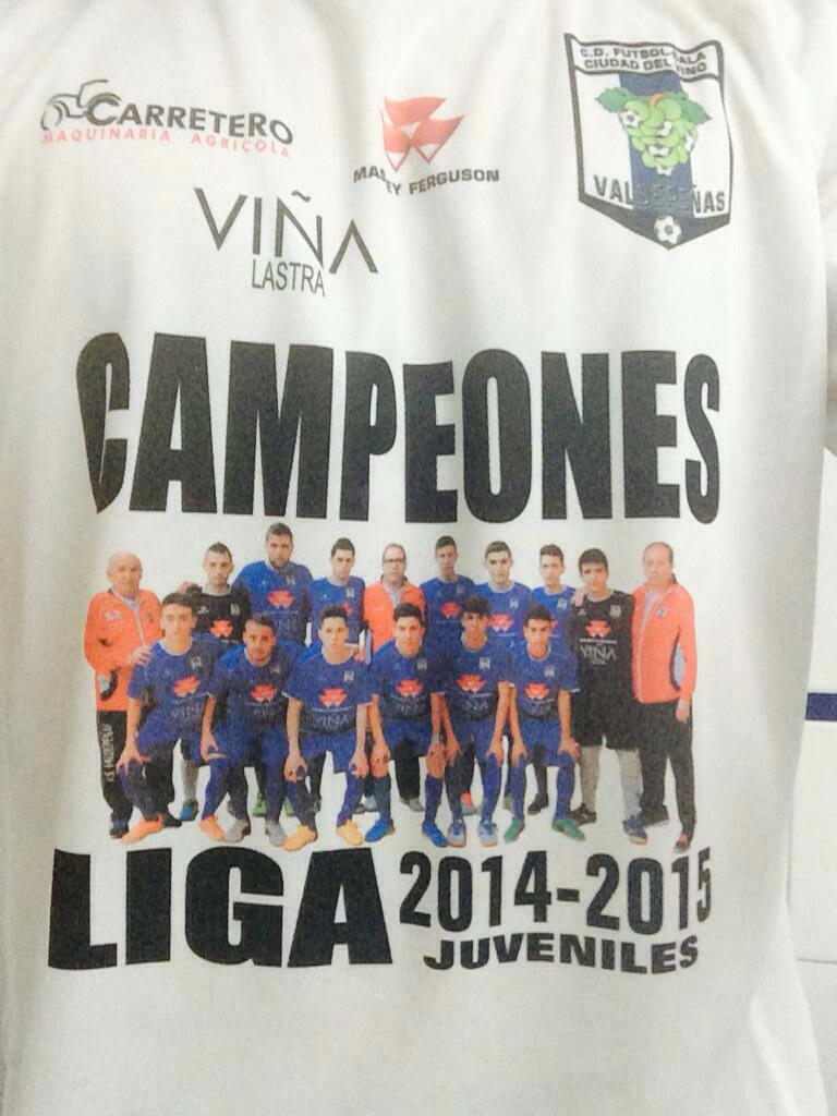 VinaAlbaliFS's tweet photo. ¡¡¡CAMPEONES DE LA LIGA JUVENIL SALA DE CLM GRUPO 2!!!
@Villacanasfs 2 - @FSCiudadDelVino 4
#MiniCampeones http://t.co/QXvf5dxyHh