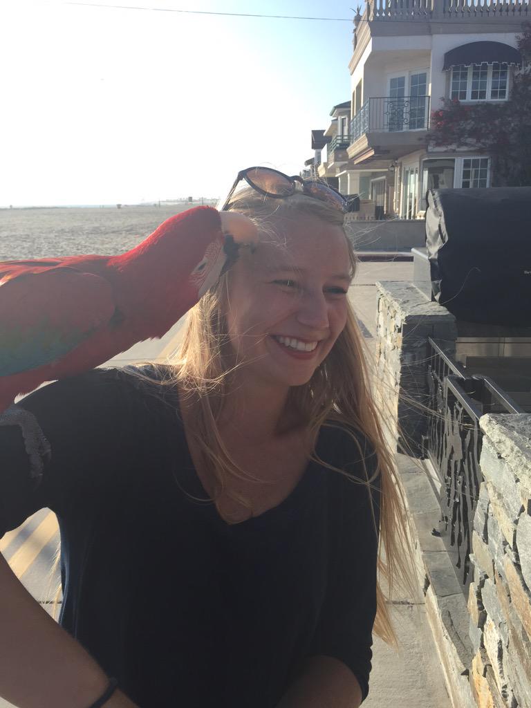 aripps22's tweet photo. When the parrot's obsessed with you http://t.co/L3kMhKdV15