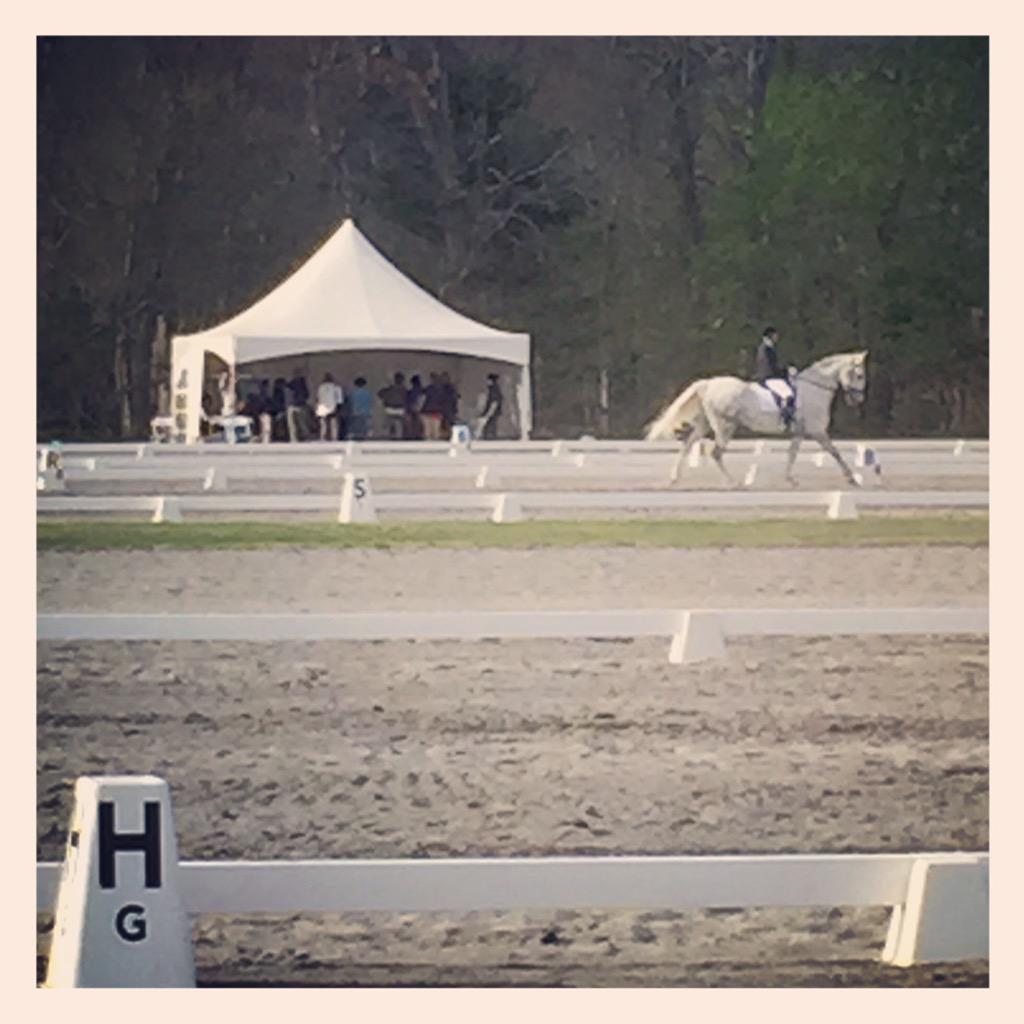 NEDAPress's tweet photo. Wrapping up an awesome first day of #NEDASpring - Ring 3 and Judges "L" Program in distance #NEDADressage #Dressage http://t.co/vbC4q7pfJt