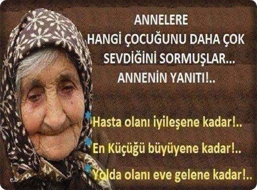 bayram aygün tweet media