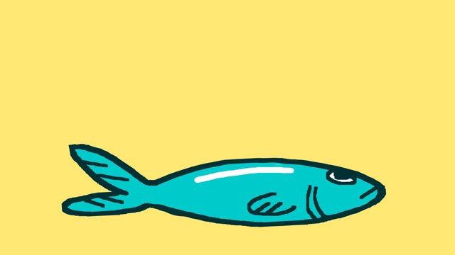 BenchBoyNews's tweet image. Hahahahaha