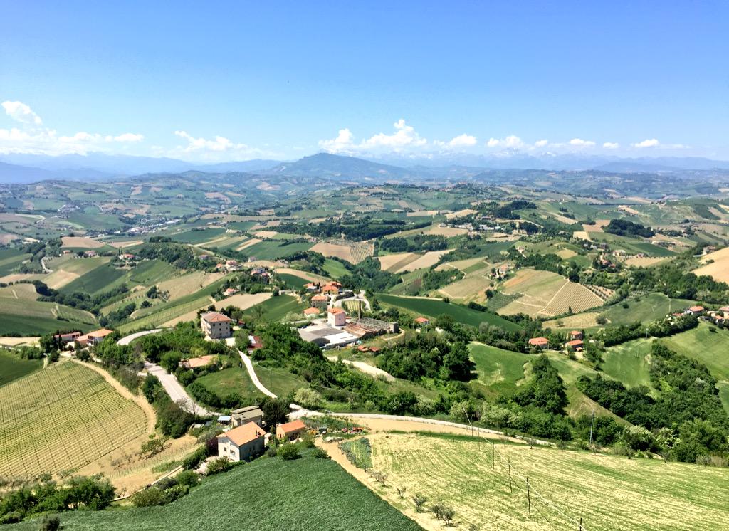 RiderCouncil's tweet image. The morning spin.