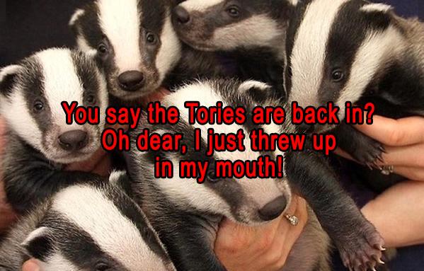 _AnimalAdvocate's tweet photo. Because #YourNextMP wanted to be #YourNextMP they probably shouldn't be #YourNextMP. #Animals #GE2015 #ToriesOutNow http://t.co/rh2EnHQ1Tw