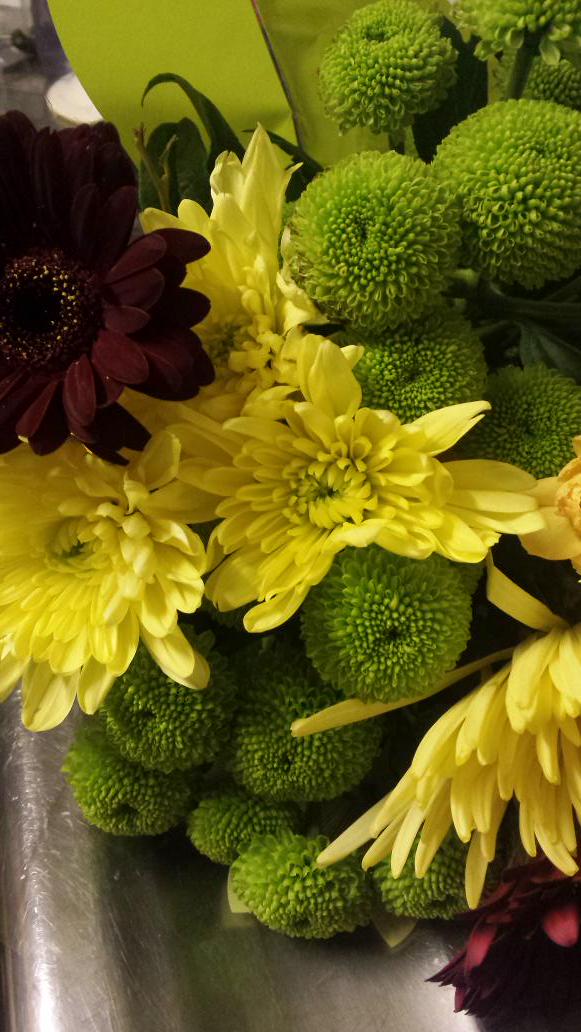 Jadey9876's tweet photo. Beautiful flowers http://t.co/tgzLPQohuq