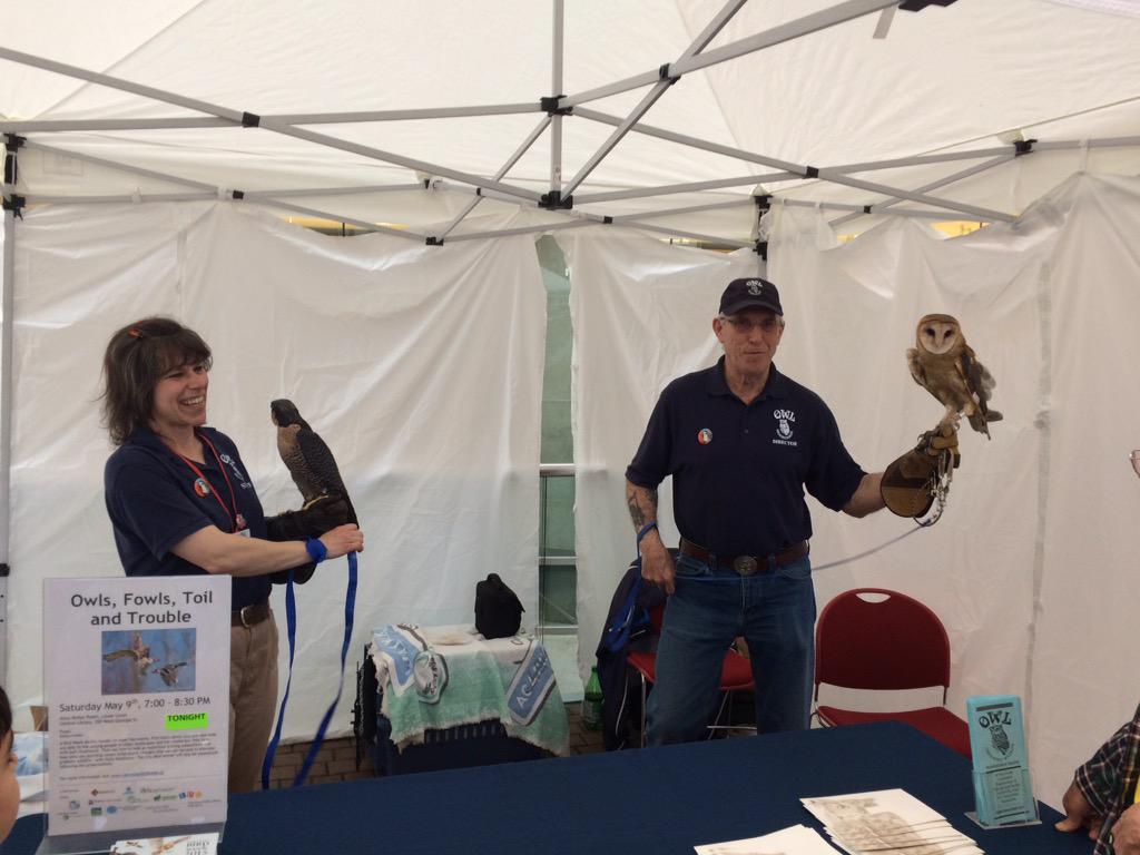 VancouverBirds's tweet photo. Come visit Alba the @heyitsbarnowl and Nellie the @vanperegrine at the library now until 6:30 pm http://t.co/DfCTpyls8r