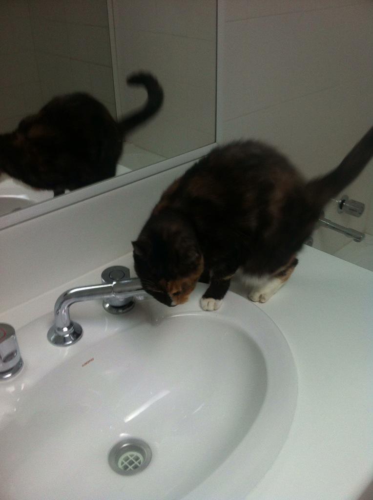 2009_little's tweet photo. Cassie wanting some refreshments for Mother's Day hahaha http://t.co/2vByTIrfCn