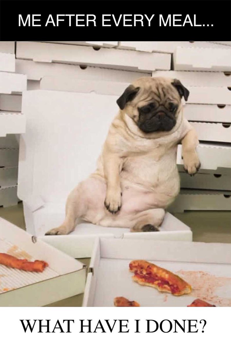 MensHumor's tweet photo. Me after every meal... http://t.co/zFagRiCw1d