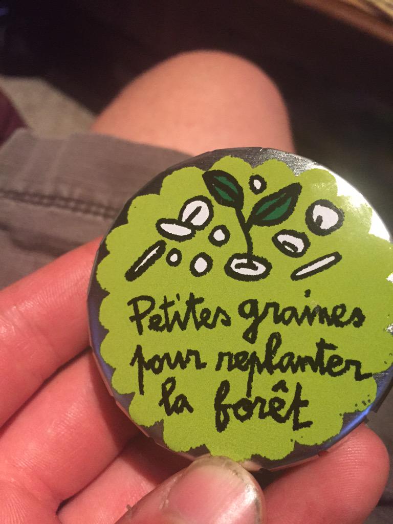 jabadding's tweet photo. Little seeds to replant the forest with :).  Thanks @frenchyfaith ! http://t.co/KIgYEiHRBW