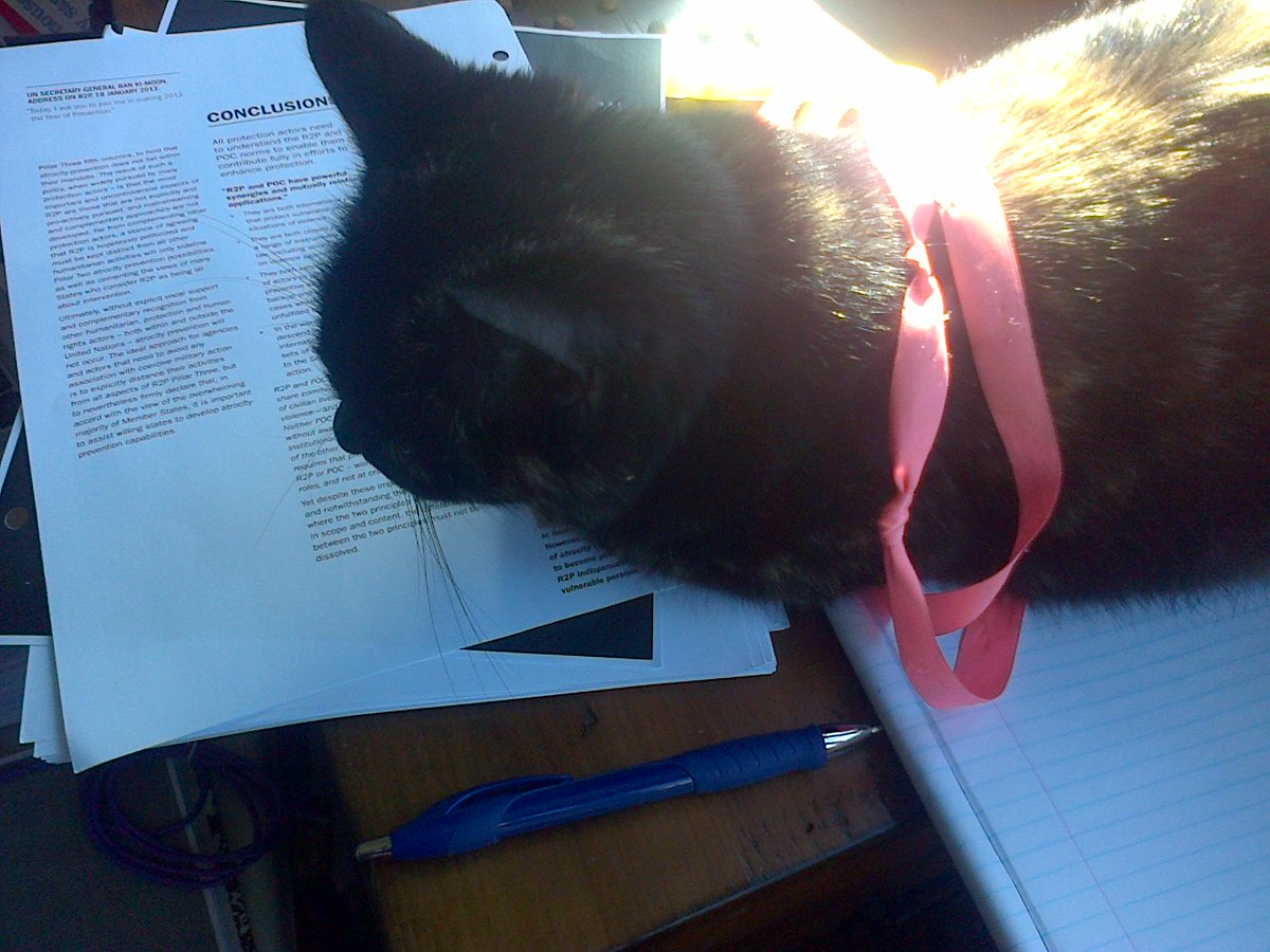 shiney_jay's tweet photo. writing essay on @unmisspio with feline help. She thinks narrow POC; I agree but with R2P pillars 1&2. #catademic http://t.co/UxOZMSp6bE