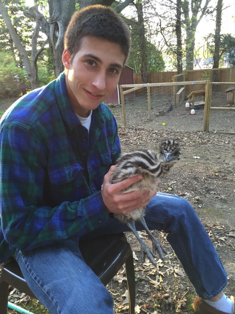 dirty_dDD3's tweet photo. When you have an emu and you're just happy as shit http://t.co/HKLDSbPD8X