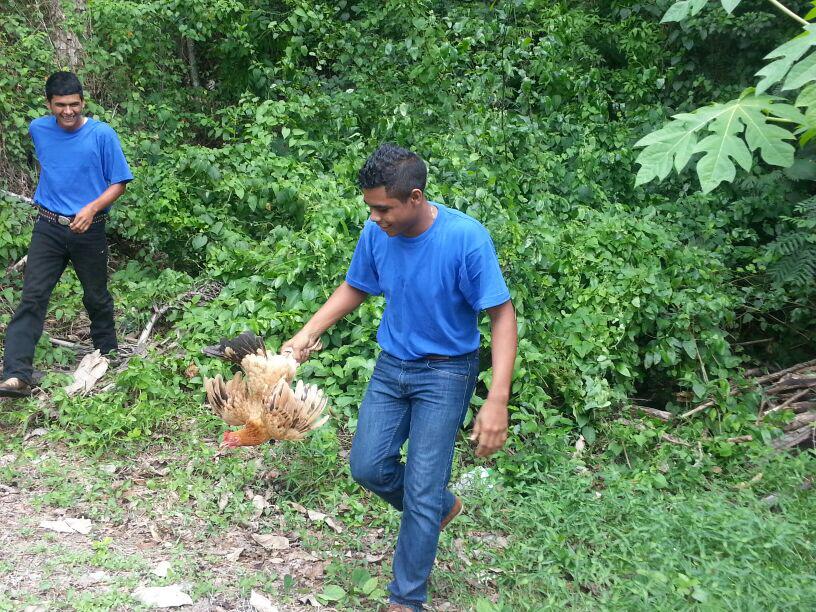 hechoenpma's tweet photo. Ay Madre se formó La Bichera en el #TiraYJala ¿Quién ganará esta última prueba? http://t.co/BZQ8rDm62Q