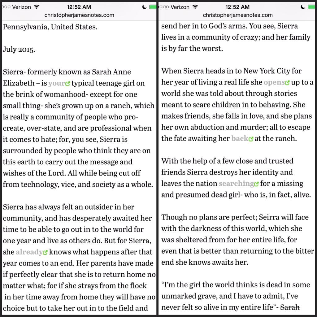 CJamesNotes's tweet image. "SIERRA: The Girl Who Faked Her Own Murder." Coming soon to christopherjamesnotes.com #goodreads #BookBoost