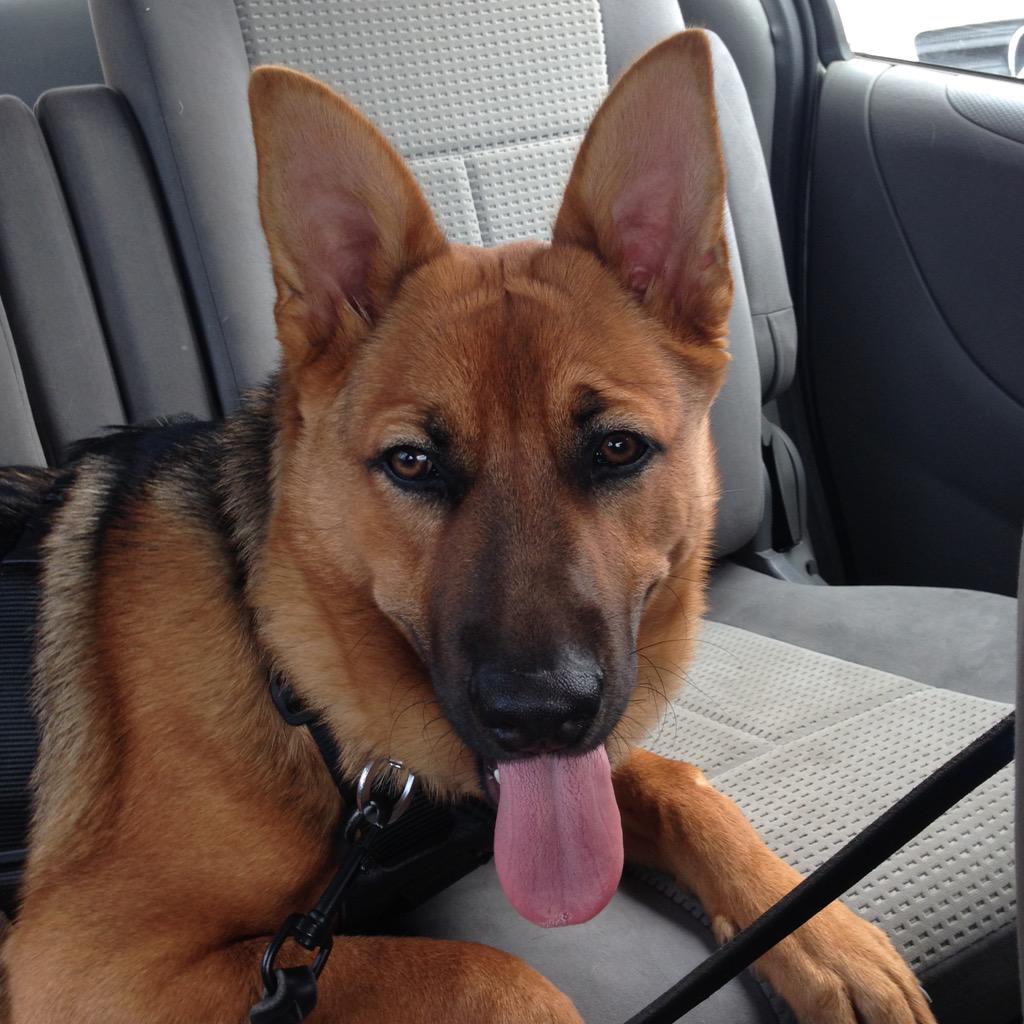 heiming731's tweet photo. Charming youngster! http://t.co/7GvZNUoVMw