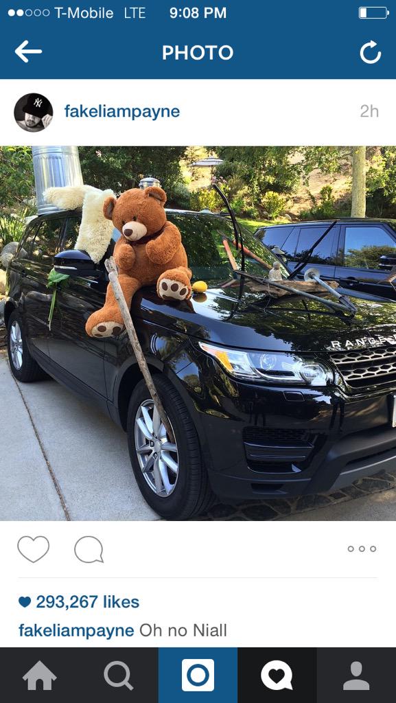 cneveleff's tweet image. Liam posted these on IG