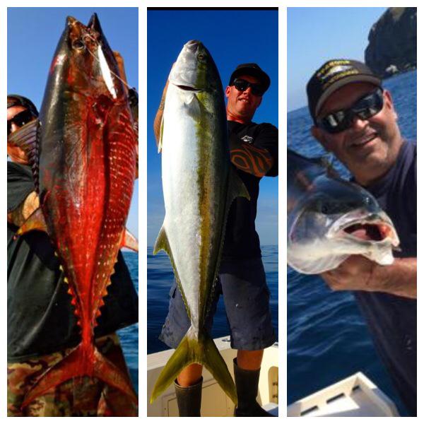 JayTWarsh's tweet photo. @SeasonsFishing @ShimanoFishUSA @Pabloortiz61 @raineortiz - #1 fishing charters in California ~ http://t.co/uGWn3wLoY8