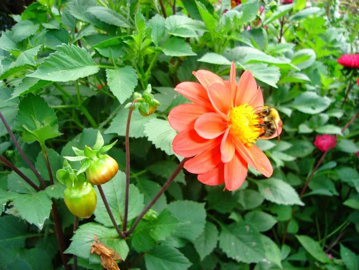 mattothegrea's tweet photo. happy Sunday my dear friends http://t.co/DZIVkuomx2