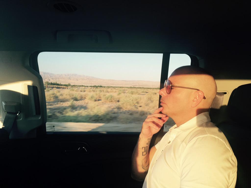 Pitbull tweet media