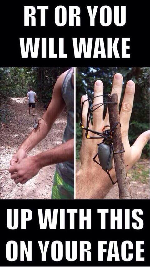 griffinmichaeI's tweet image. DONT OPEN THIS