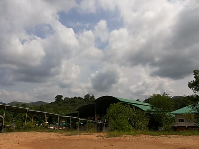 byprathom's tweet image. ว้ดป่าสว่างบุญ สระบุรี