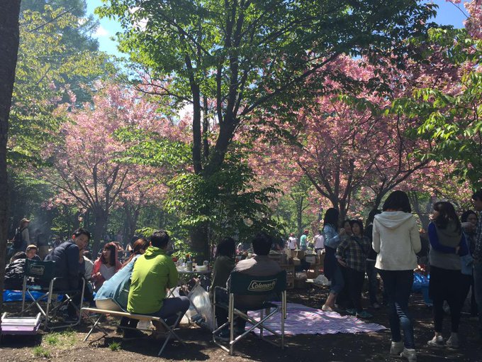 北海道の花見は焼肉ジンギスカン バーベキューができる人気公園を札幌から旭川まで