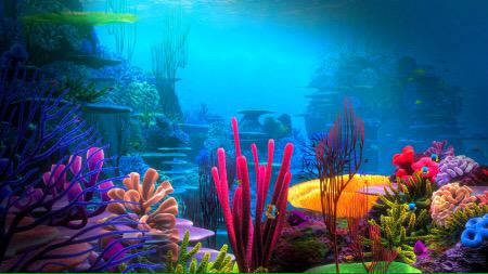 savetheoceans33's tweet photo. #Gogreen and save this scene! #carbonfootprint #thbio http://t.co/wiAEtzdKtT