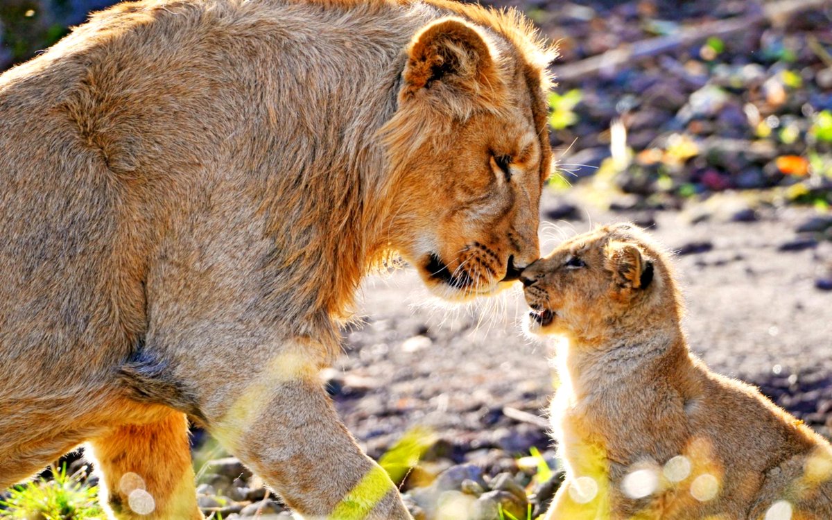 RaymondVinals's tweet photo. Madre estás conmigo y me has dado tu cariño..
#DiaDeLaMadre #MothersDay #RaySelect #RayProject
http://t.co/mwZRxu7vgK http://t.co/MBSlMhbBW8