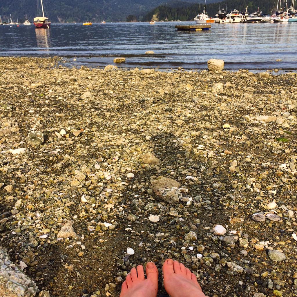 JennMctavish's tweet photo. Some good ol ocean recovery before racing the North Van #bcenduro @rockymountain @MuscleMLKCAN @RydersEyewear #RAndR http://t.co/mu0QAY6qkv