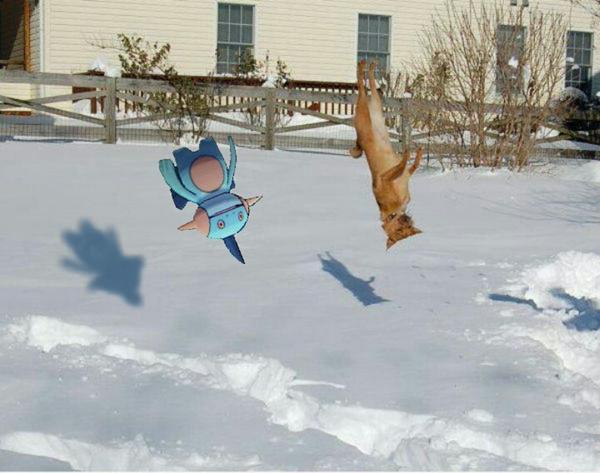 NumacrawAttack's tweet image. 犬と一緒にはしゃぐヌマクロー