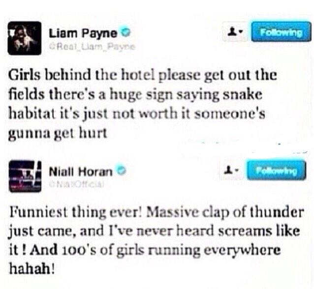 rnbzaynie's tweet photo. Remember when Liam and Niall represented two types of people in this  world 

😂😂 

#Directioners4Musiс http://t.co/VPnlfPp2zB