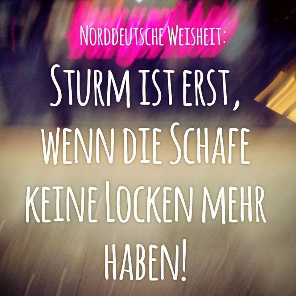 Jack Darkthief (@jackdarkthief) on Twitter photo 