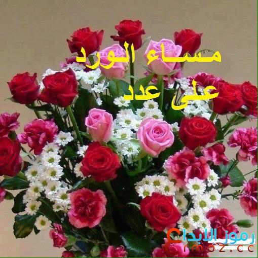samiraaldaher's tweet photo. http://t.co/8GI6XLvnUN