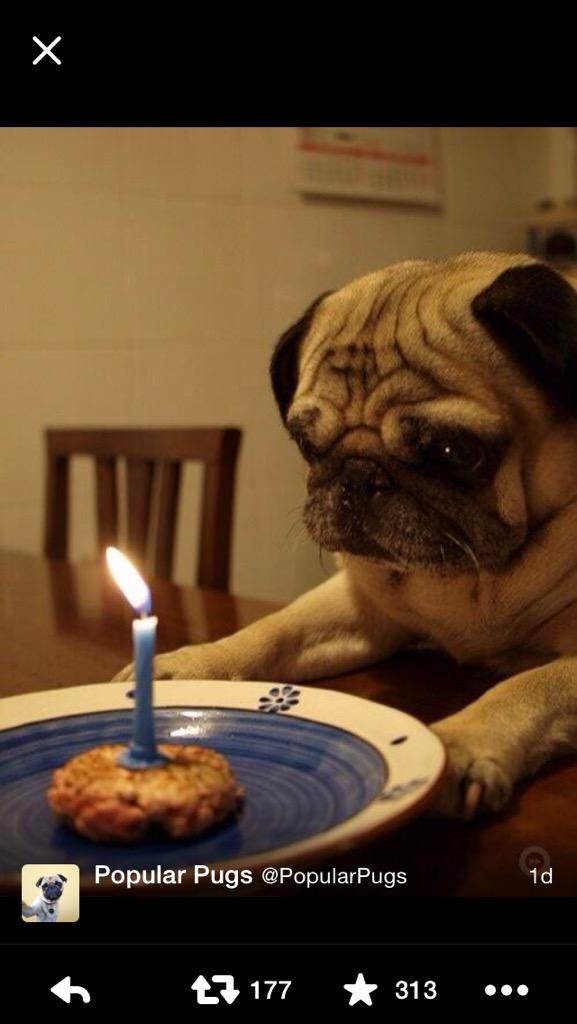 Sam Denton tweet media