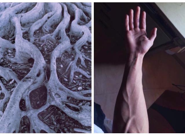 bodycompared's tweet image. 