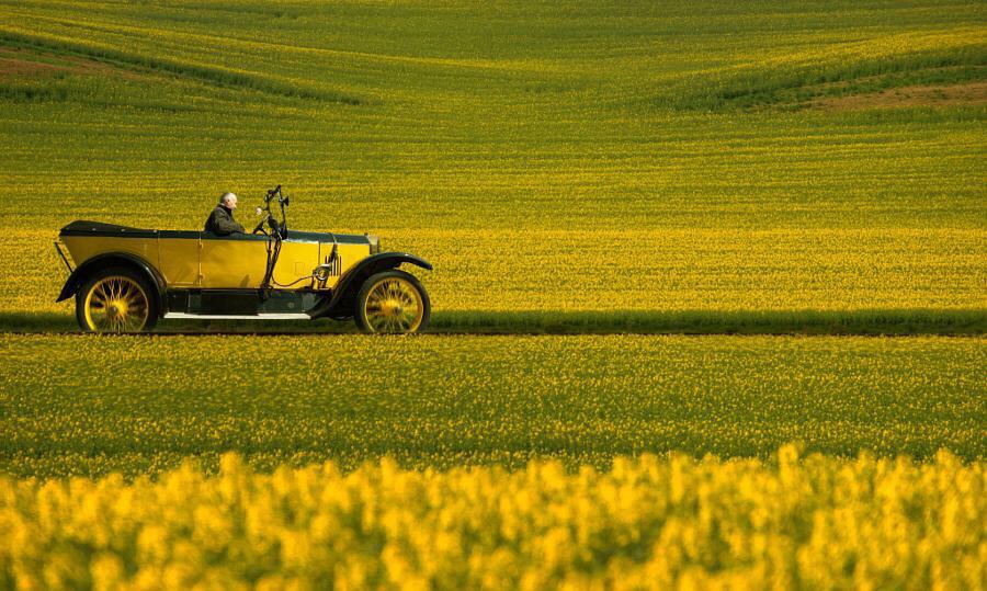 victoriafinlay's tweet photo. MT @DerickPauls Ok let's just call it yellow http://t.co/7TyqMxCgdi #colours #colorinart