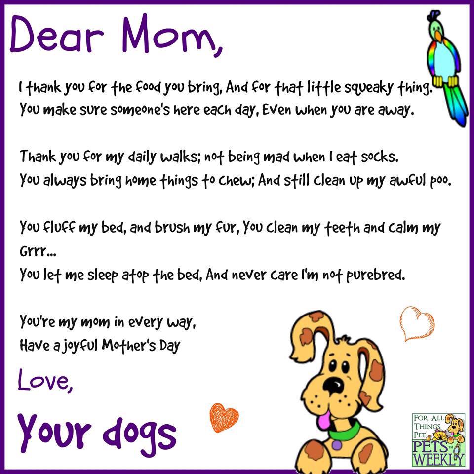 nniesie's tweet image. Met my #pawkids het elke dag moedersdag!
