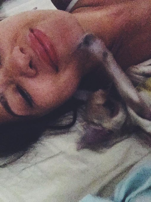 Good Morning from Alfie and I 😘✌️ #puppy #puppylove http://t.co/Tlvbz5JbCG<a href="/tag/puppy"class="tags">#puppy</a><a href="/tag/puppylove"class="tags">#puppylove</a>